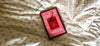 Review: The Correspondent by Virginia Evans