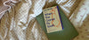 Review: When the Cranes Fly South by Lisa Ridzén