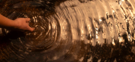 Introducing Wallow: Our New Bath & Body Brand